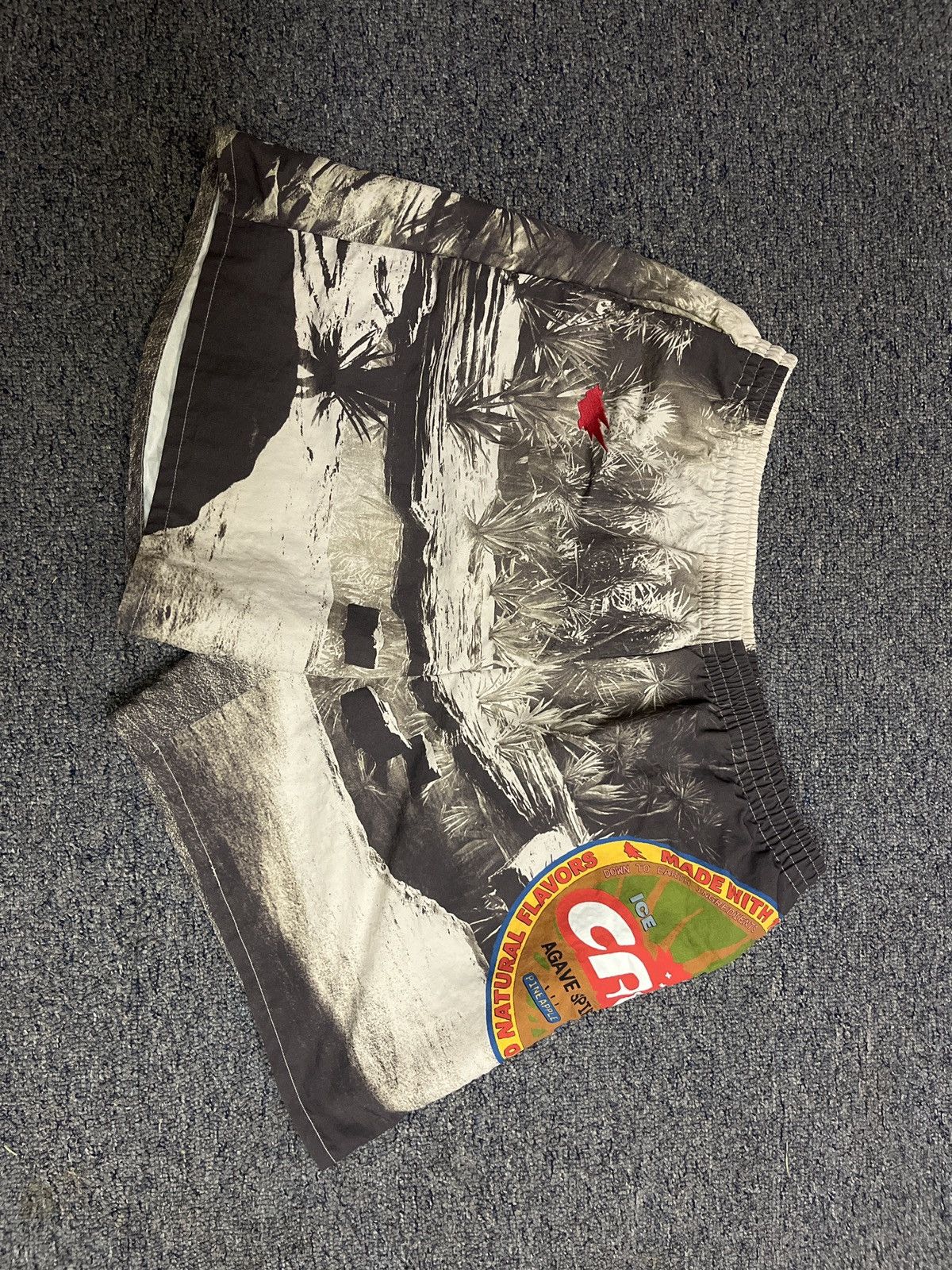 travis scott pool short