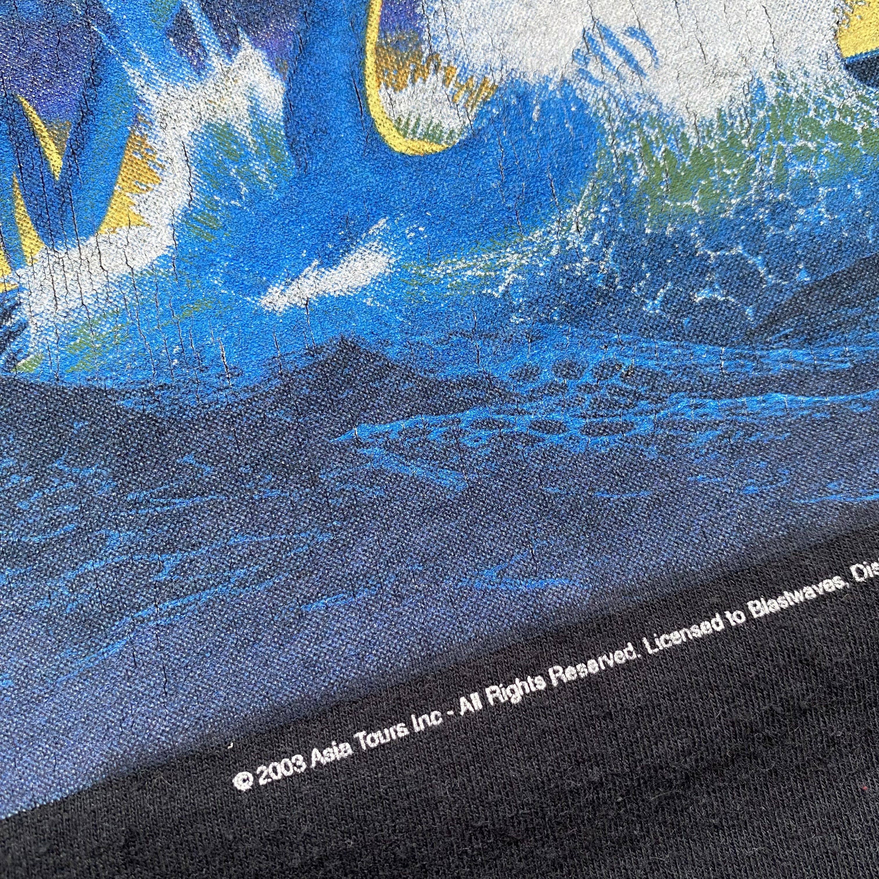 Band Tees 2003 Vintage Asia Rock Band Tour Tee Size US L / EU 52-54 / 3 - 7 Thumbnail