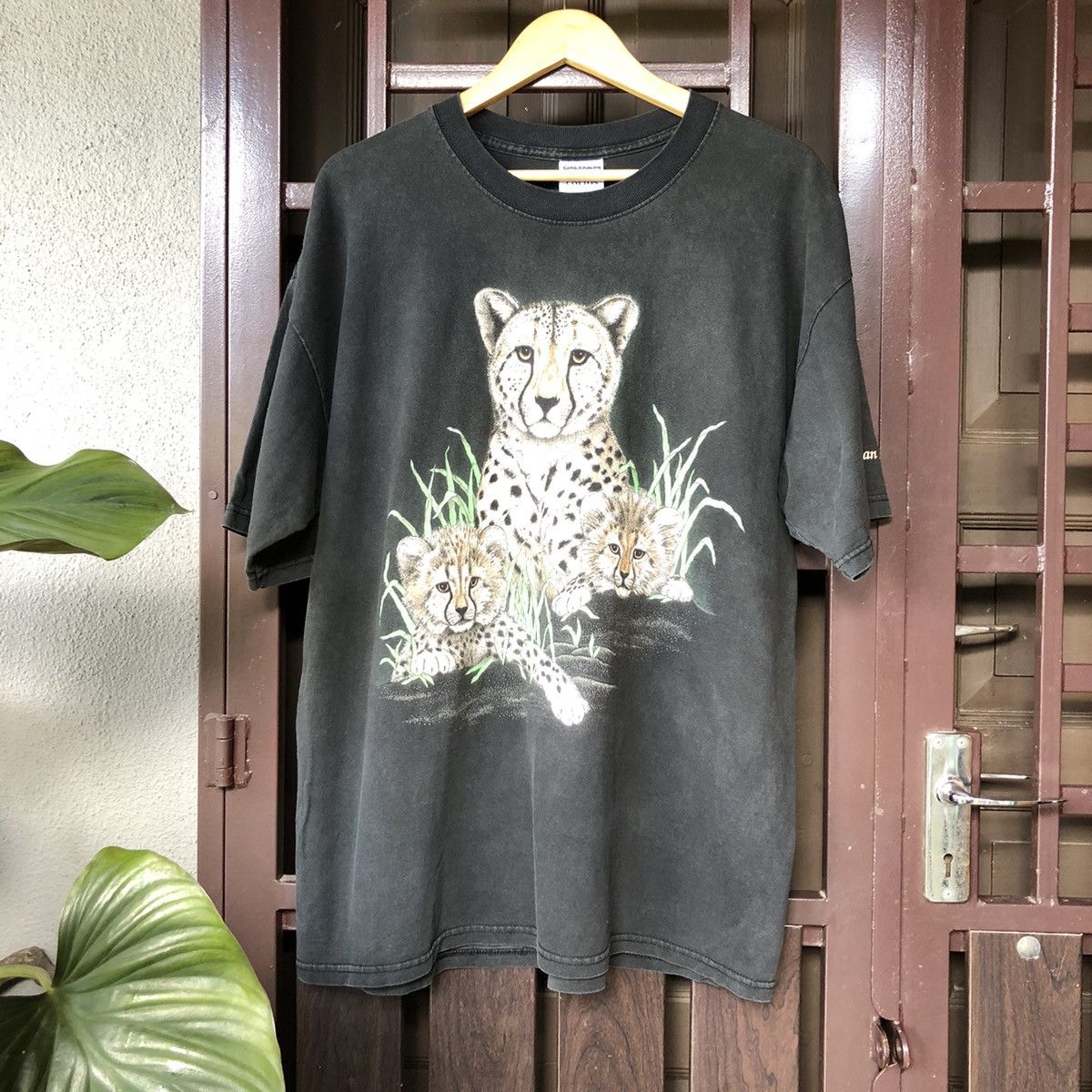 image of Sunfade Habitat San Antonio Zoo in Faded Black, Men's (Size XL)