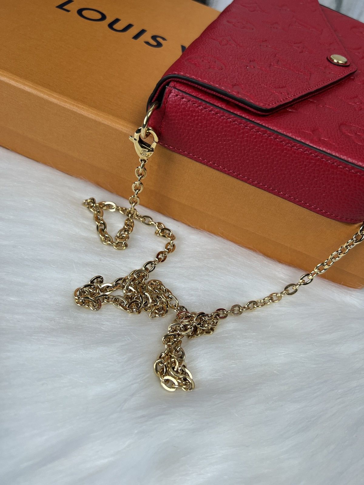 Louis Vuitton Louis Vuitton Felicie Pochette bag Size ONE SIZE - 4 Thumbnail