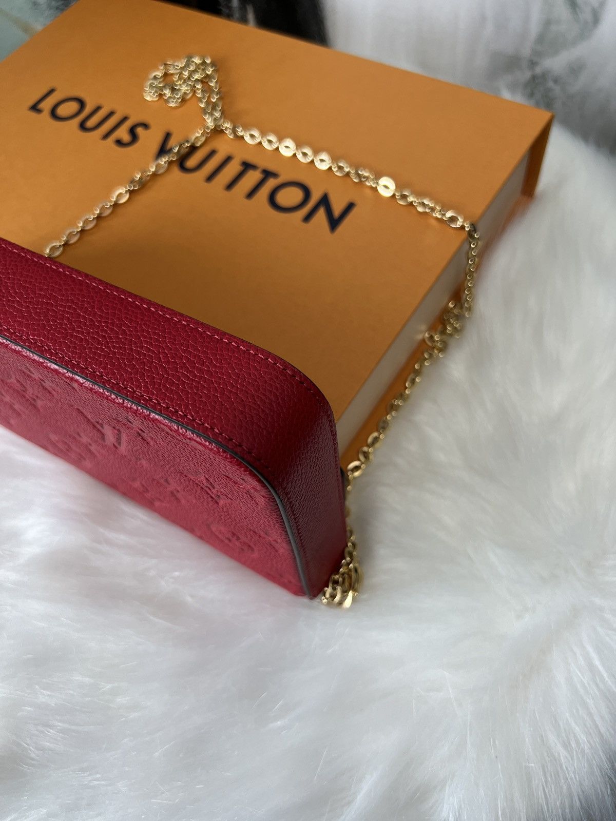 Louis Vuitton Louis Vuitton Felicie Pochette bag Size ONE SIZE - 14 Thumbnail