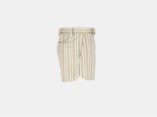 Dior White and Beige Technical Cotton Striped Shorts Size US 32 / EU 48 - 2 Thumbnail