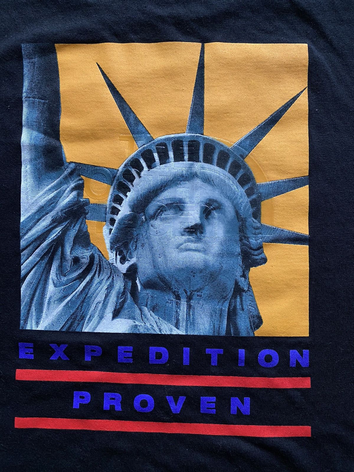 Supreme Supreme / The North Face Statue of Liberty Tee | Grailed