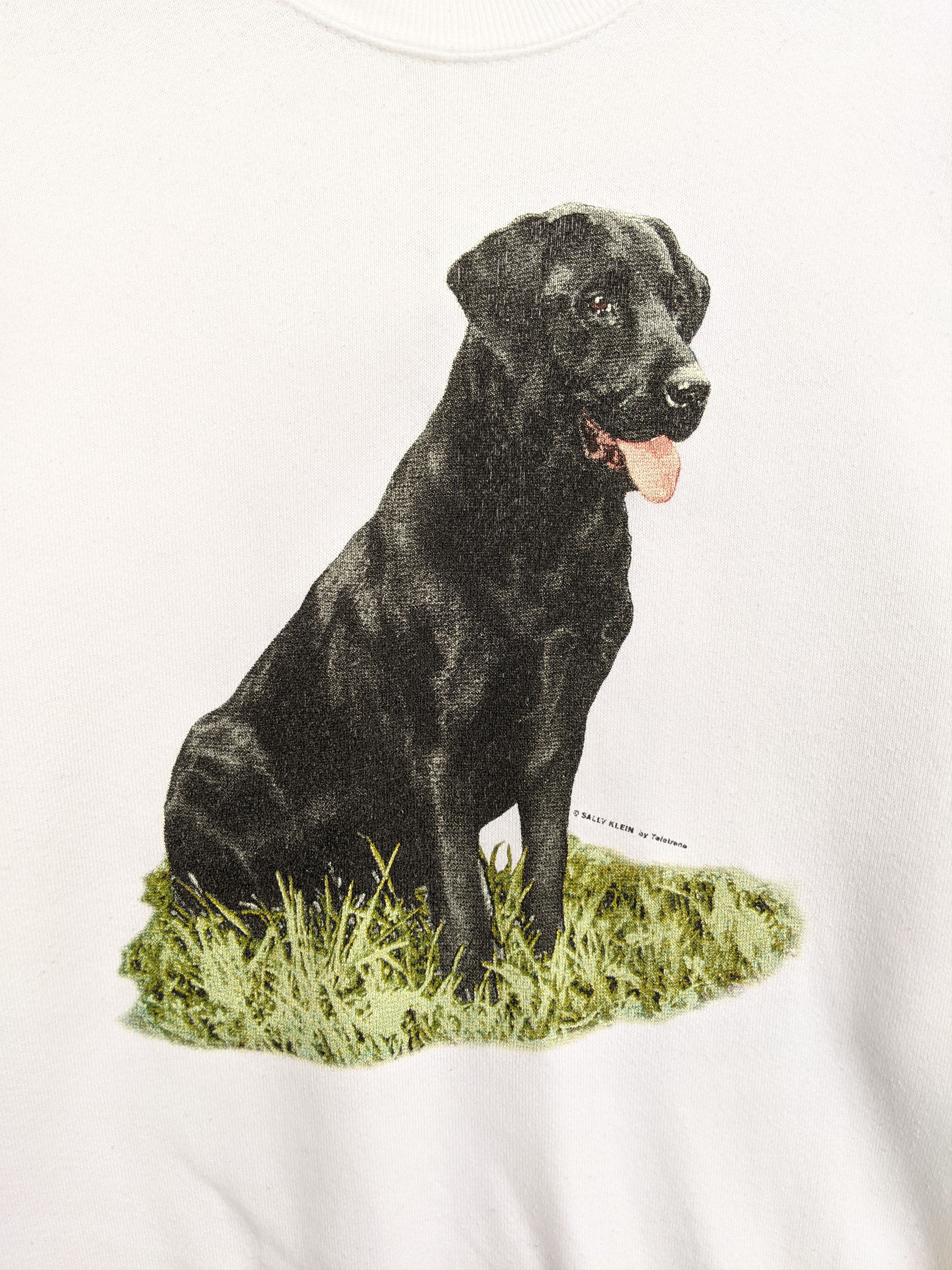 Fruit Of The Loom × Vintage Vintage Sally Klein Dog Print Sweatshirt Size US M / EU 48-50 / 2 - 3 Thumbnail