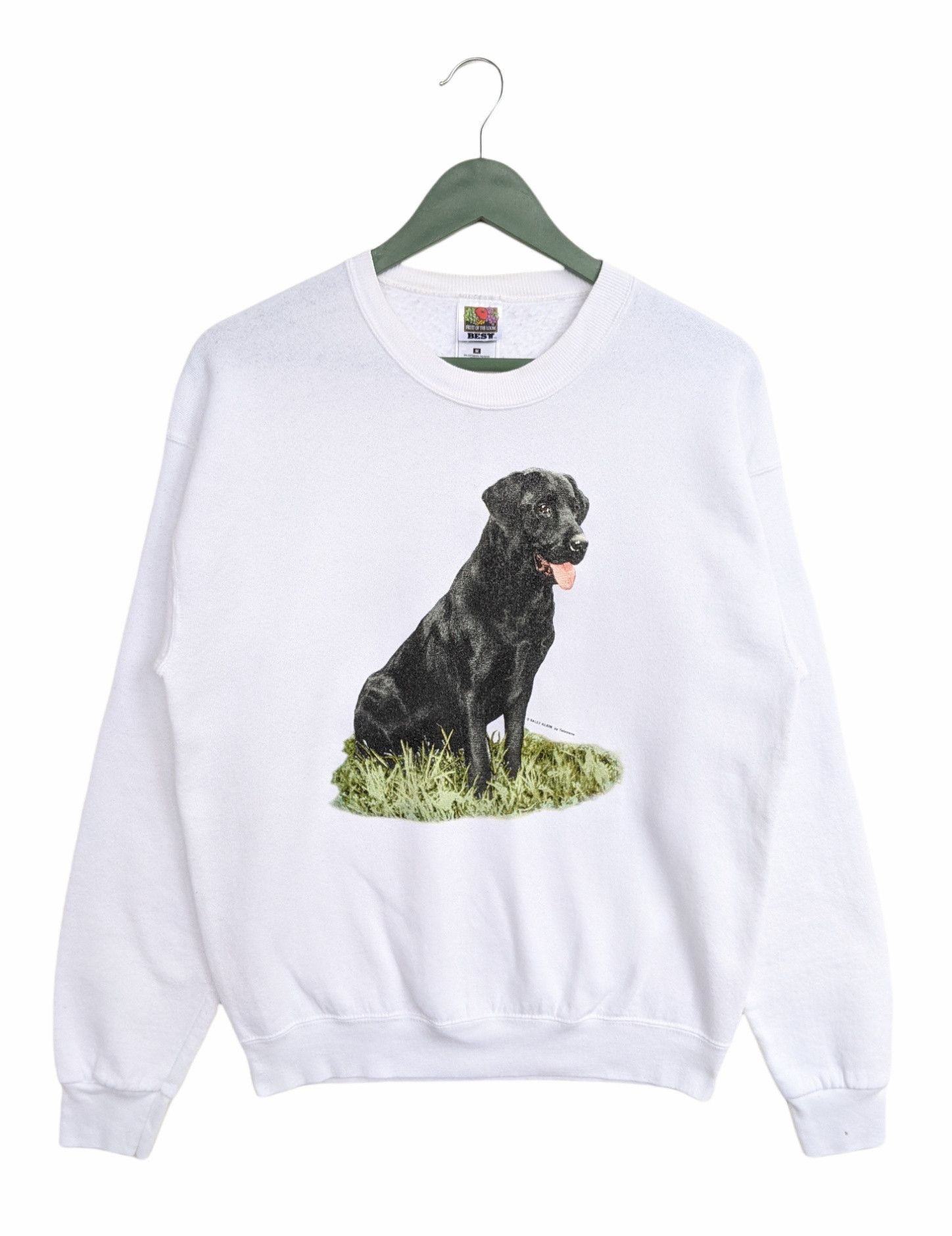 Fruit Of The Loom × Vintage Vintage Sally Klein Dog Print Sweatshirt Size US M / EU 48-50 / 2 - 1 Thumbnail