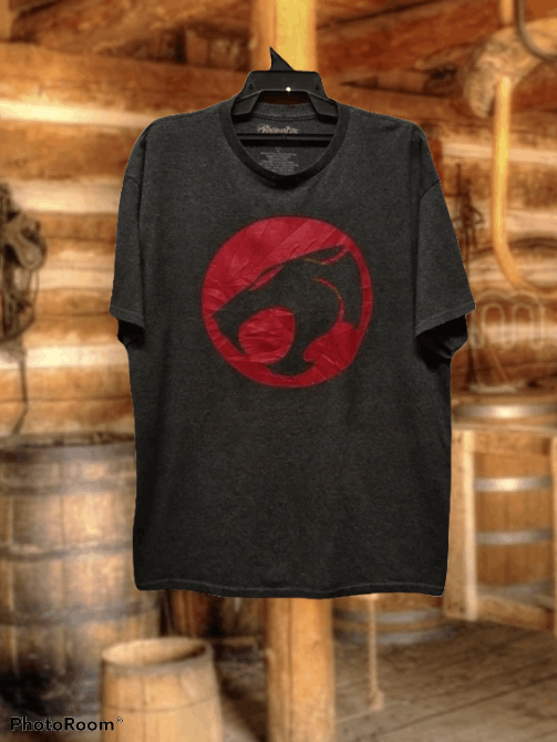 Cartoon Network × Warner Bros THUNDERCATS BIG LOGO TEE Size US XL / EU 56 / 4 - 1 Thumbnail