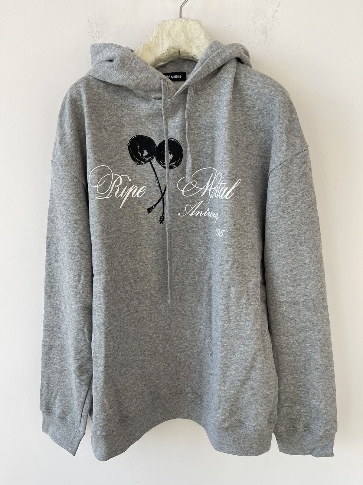 Raf Simons Raf Simons Ripe Metal Oversized Hoodie | Grailed