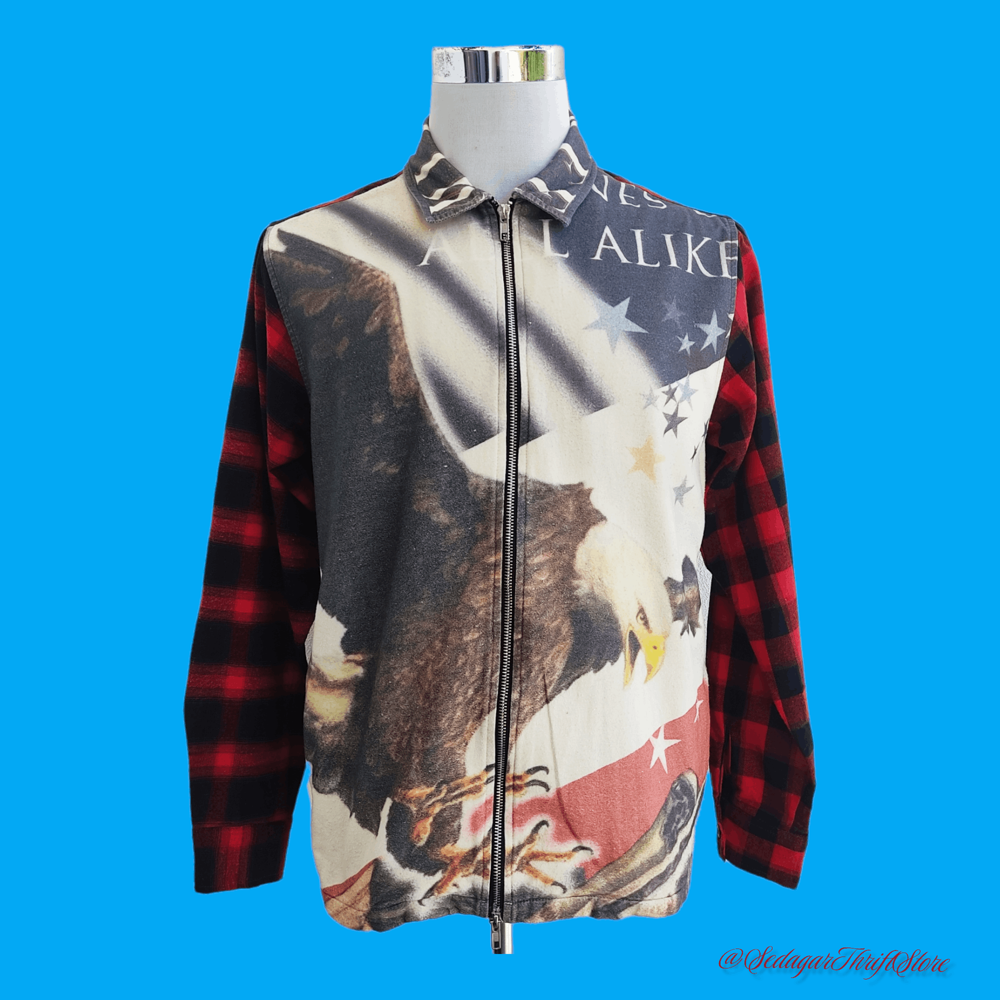 JACKROSE Jackrose Milwaukee American Eagle Plaid Zipper Jackets Size US L / EU 52-54 / 3 - 1 Thumbnail