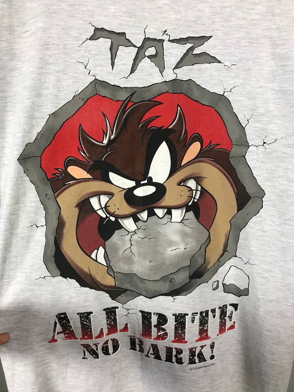 Vintage TAZ 2000 looney tunes Warner Bros vintage gray tee Size US M / EU 48-50 / 2 - 3 Thumbnail