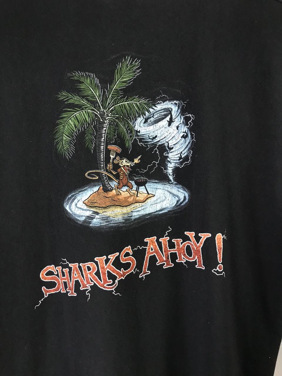 Band Tees Alestorm vintage rock band tee Size US L / EU 52-54 / 3 - 7 Thumbnail