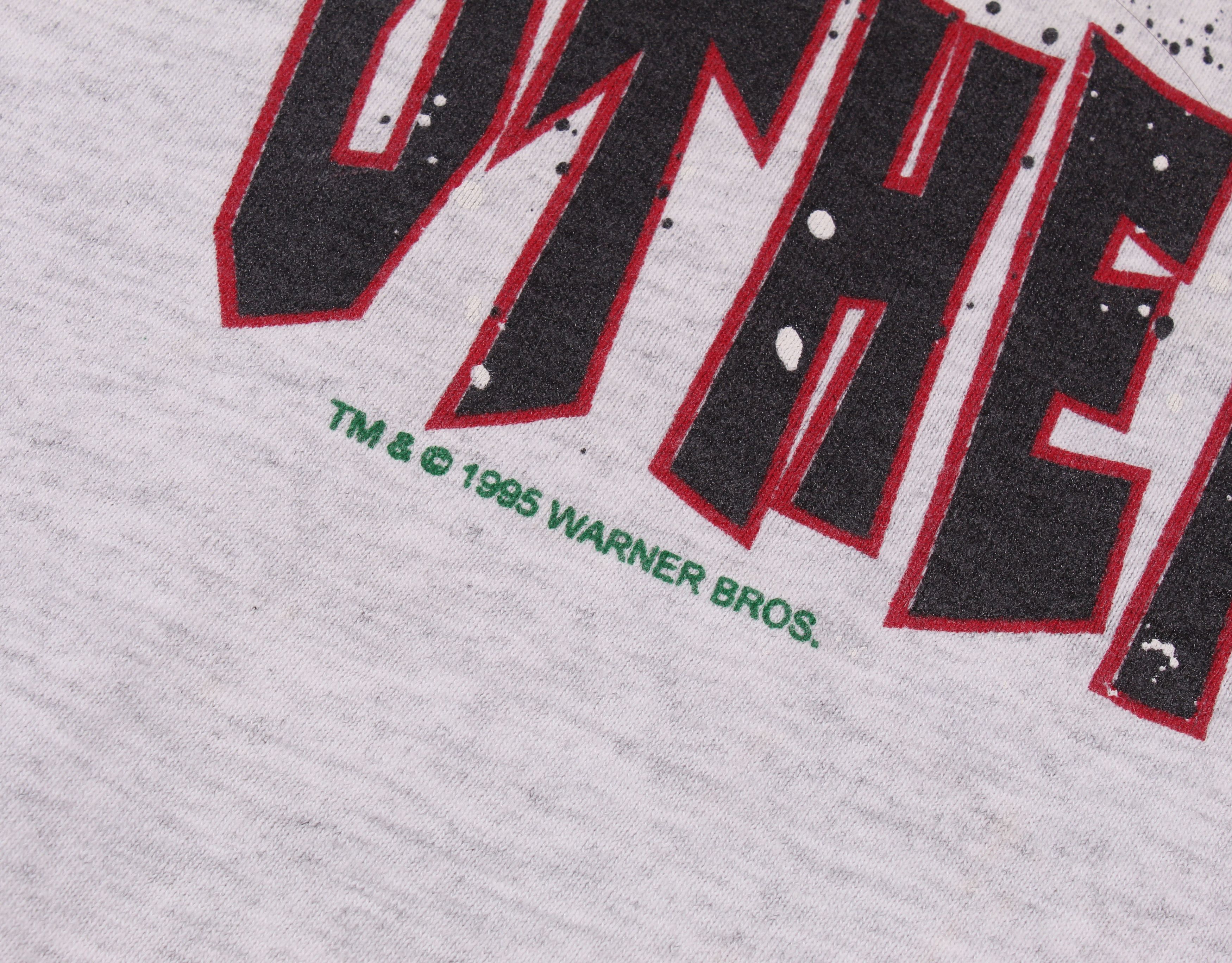 Anvil Vintage 1995 Taz Looney Tunes Single Stitch Printed T-shirt Size US XL / EU 56 / 4 - 6 Thumbnail