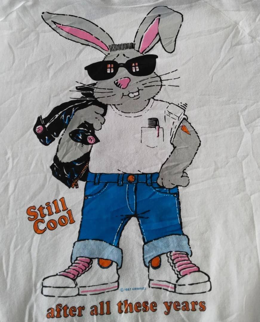 Fruit Of The Loom × Vintage Vintage 80's FOTL Pullover Sweatshirts Size US XL / EU 56 / 4 - 2 Thumbnail