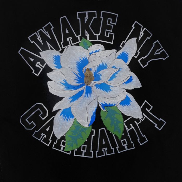 Awake AWAKE NY X CARHARTT WIP PRINTED HOODIE Green