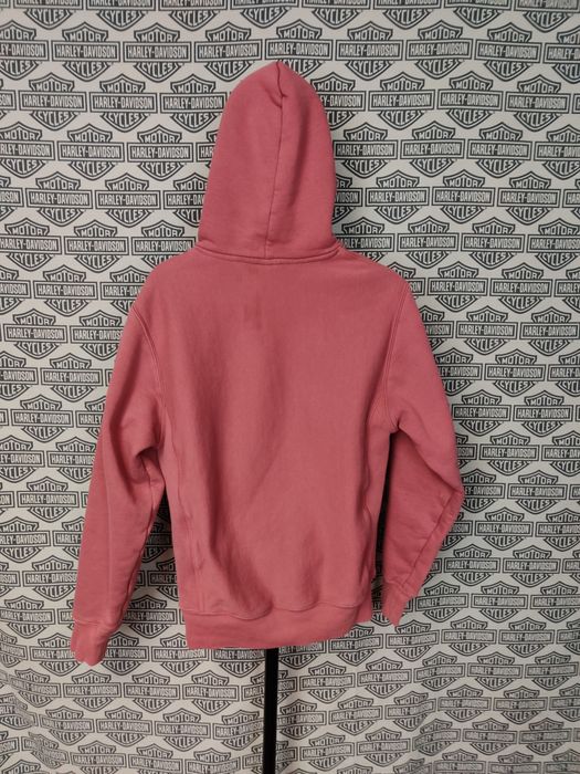 Salmon champion outlet hoodie