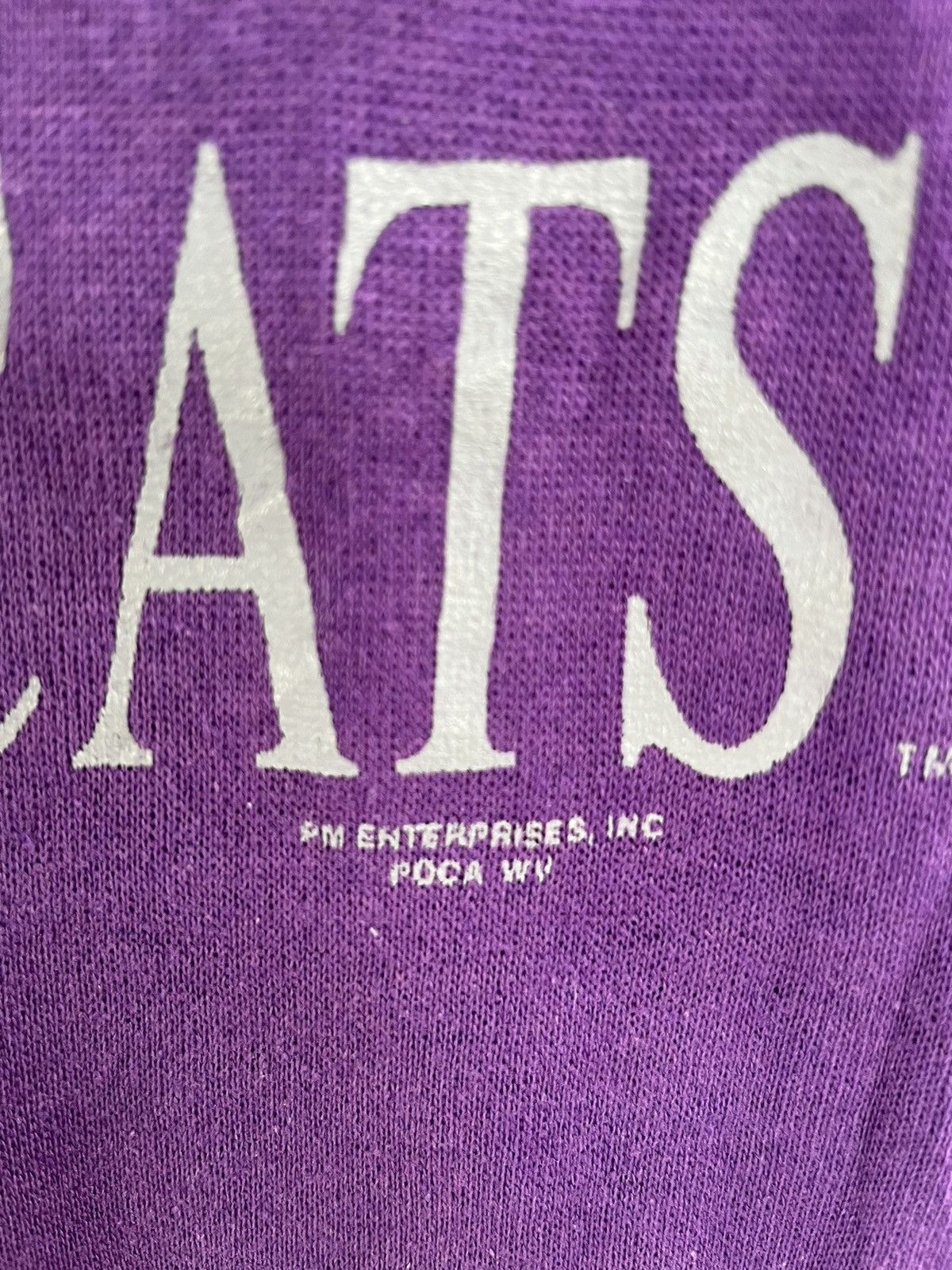 Tultex Vintage 90s Northwestern Wildcats University Sweatshirt Size L / US 10 / IT 46 - 5 Thumbnail
