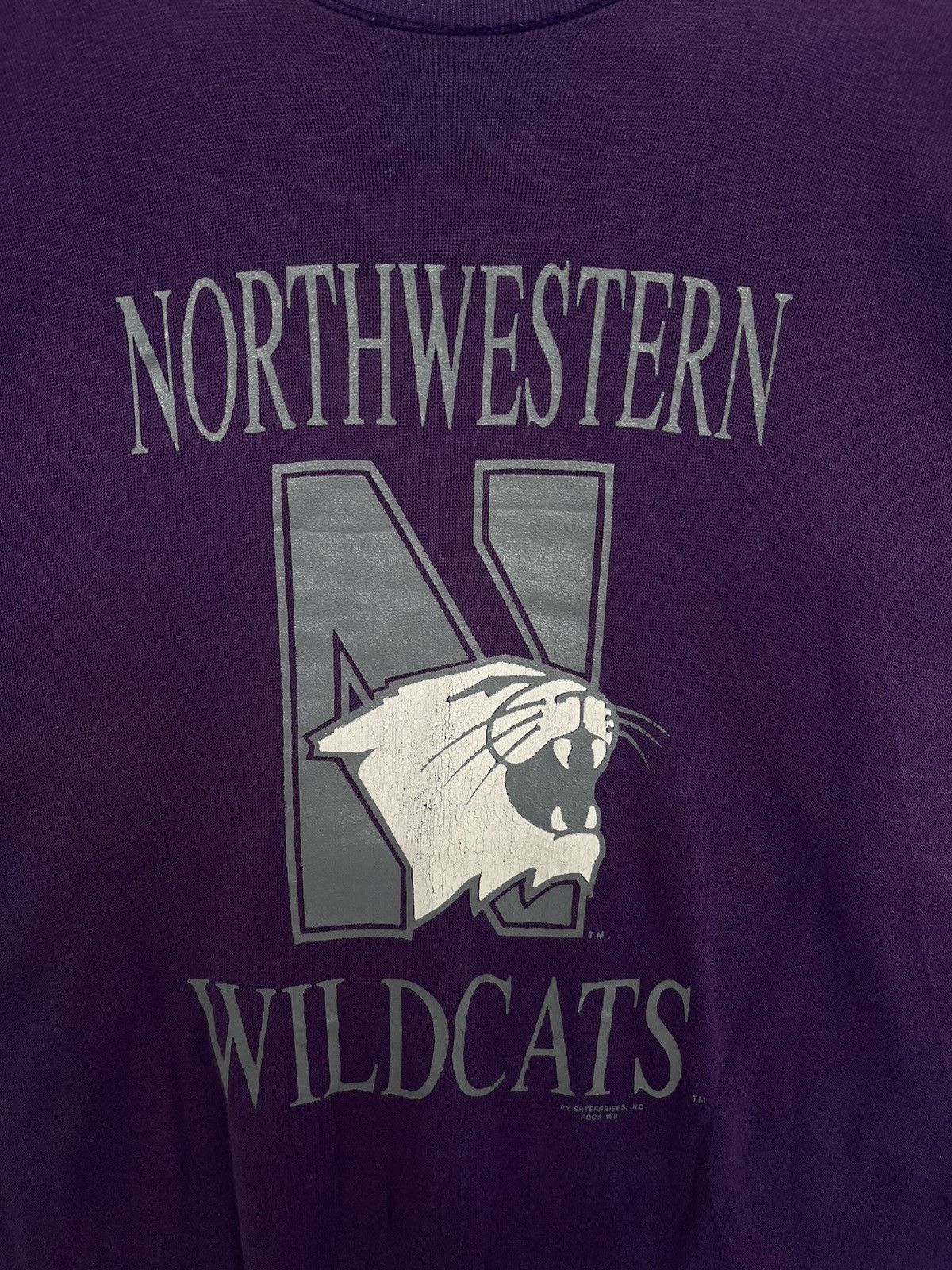 Tultex Vintage 90s Northwestern Wildcats University Sweatshirt Size L / US 10 / IT 46 - 4 Thumbnail