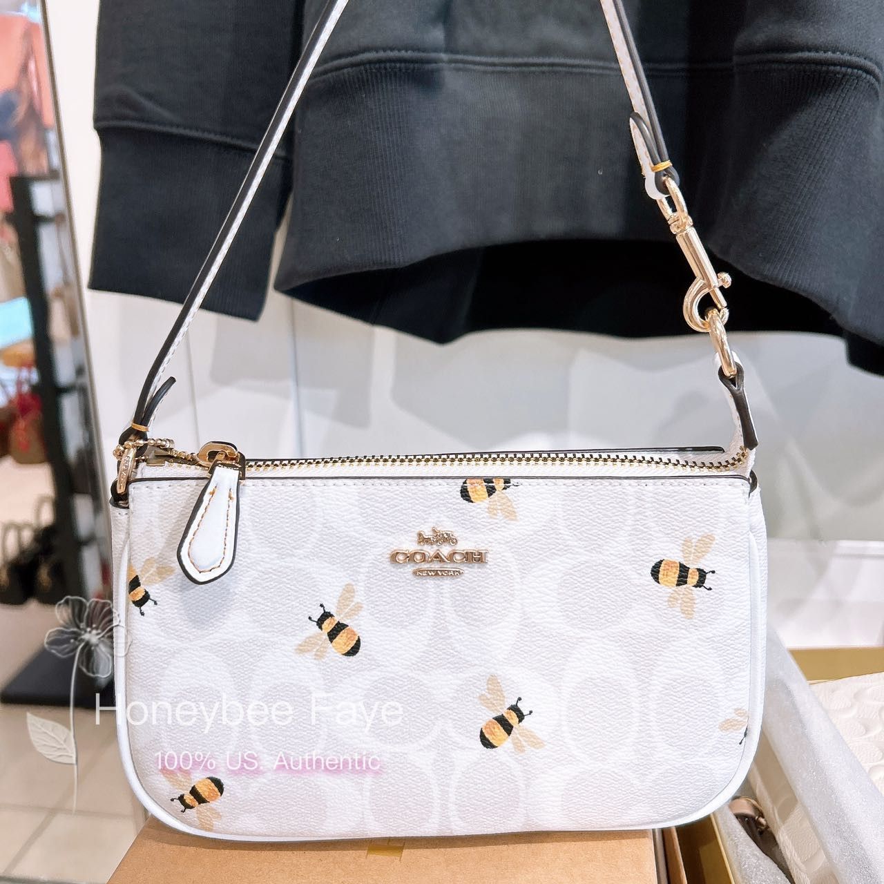 Coach Nolita 19 in Signature Canvas with Rose Print