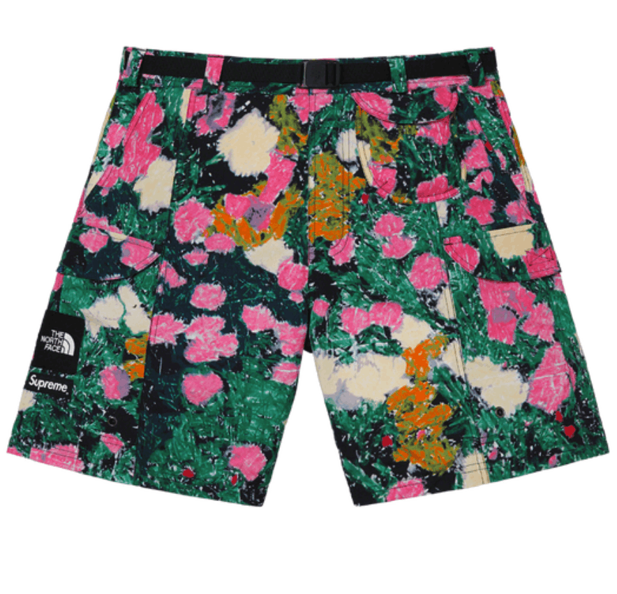 Image of Supreme X Tnf Trekking Packable Belted Short Flowers • Xl, Men's (Size 36)