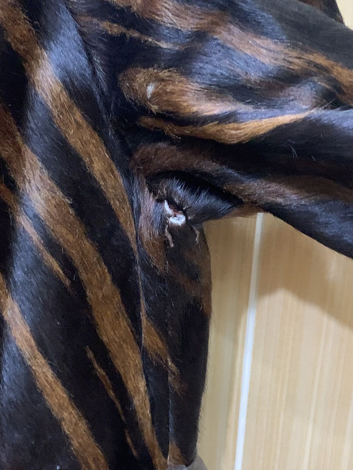 Handmade Animal skin Custom made with hand stitch jacket nice design Size US M / EU 48-50 / 2 - 5 Thumbnail