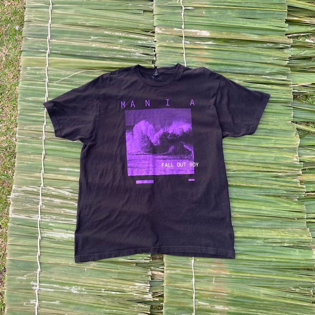 Band Tees Thrashed Faded Fall Out Boy Band Tee Size US XL / EU 56 / 4 - 1 Thumbnail