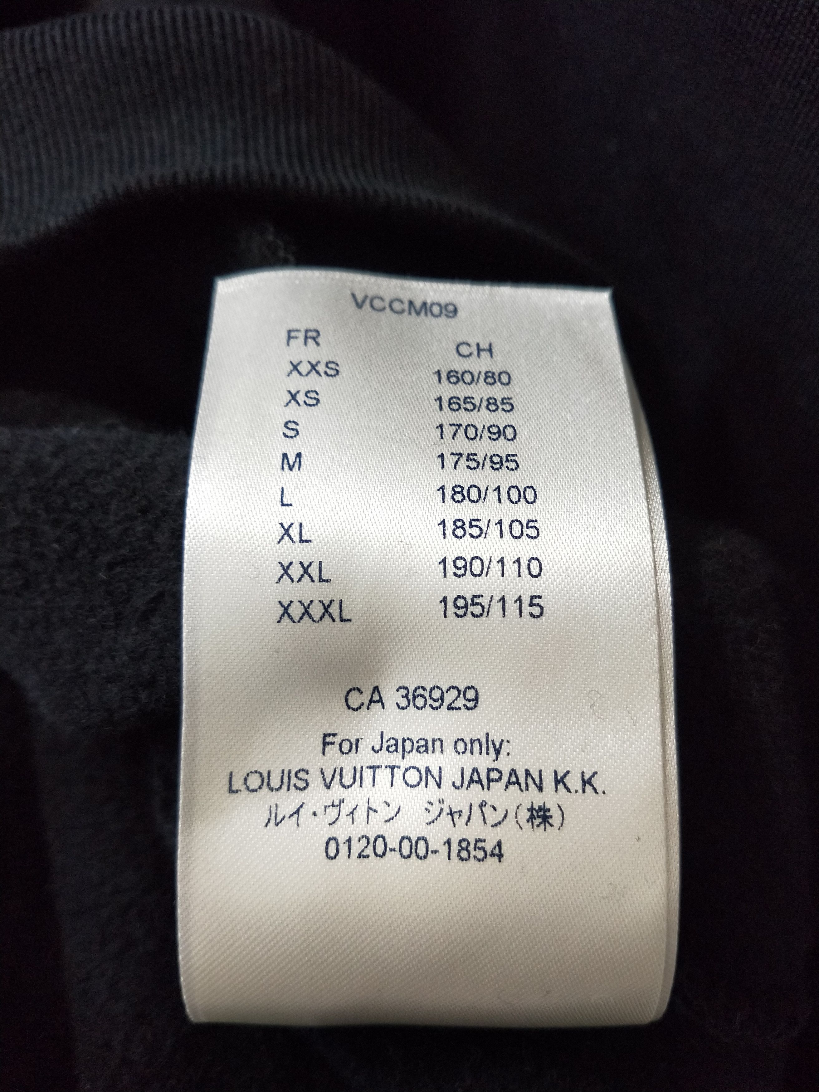 Louis Vuitton '2054' Planes Printed Hoodie Size US M / EU 48-50 / 2 - 8 Thumbnail