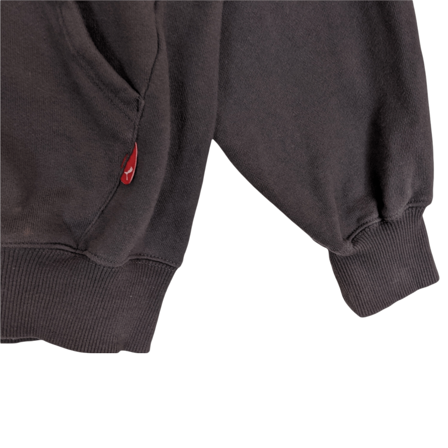 Puma PUMA Sportswear Hoodie Size US L / EU 52-54 / 3 - 7 Thumbnail