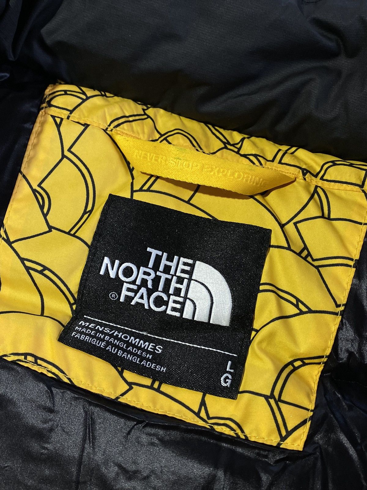 The North Face The North Face 700 down vest Size US L / EU 52-54 / 3 - 12 Thumbnail