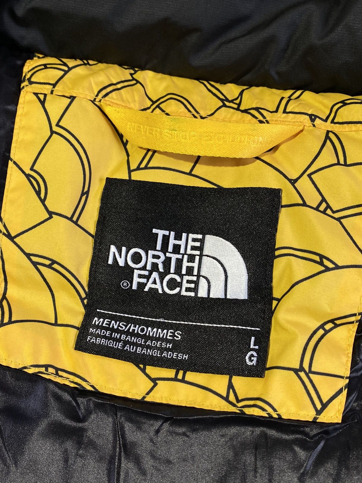 The North Face The North Face 700 down vest Size US L / EU 52-54 / 3 - 14 Thumbnail