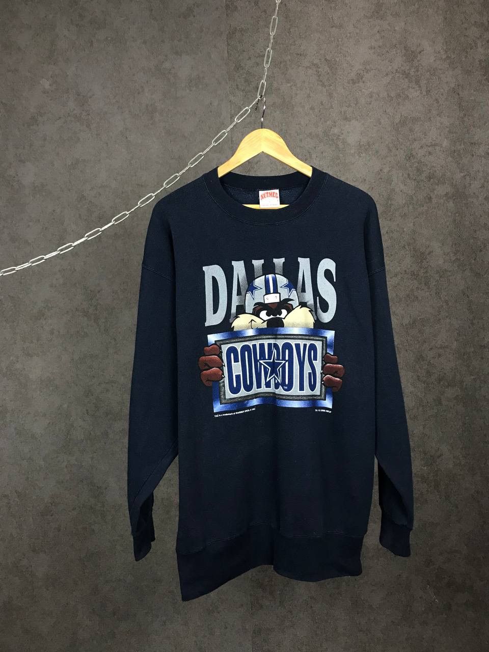 Dallas Cowboys 1995 Taz Warner Bros vintage sweatshirt