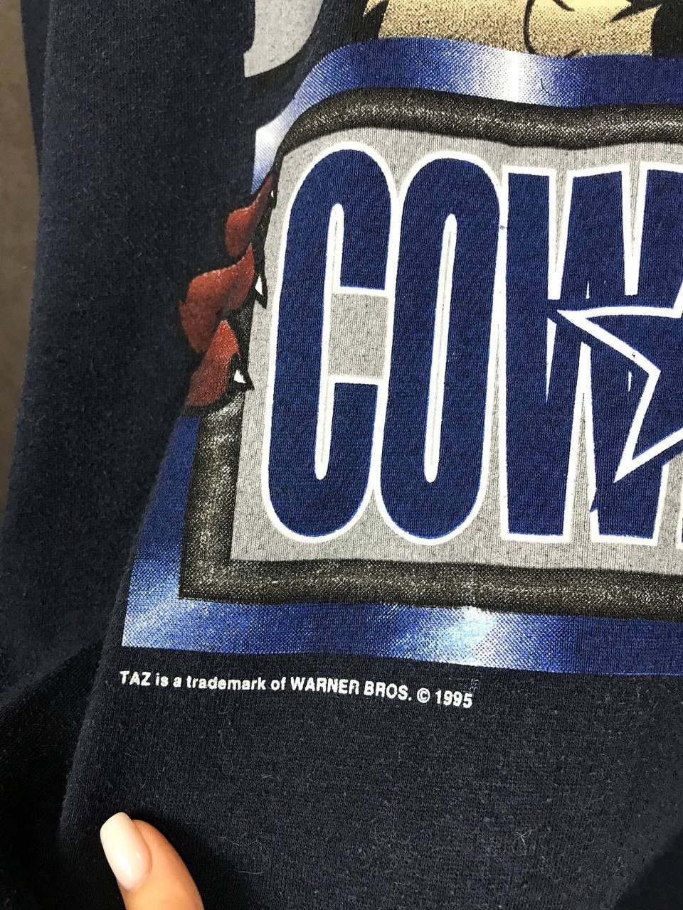Nutmeg Dallas Cowboys 1995 Taz Warner Bros vintage sweatshirt Size US L / EU 52-54 / 3 - 5 Thumbnail