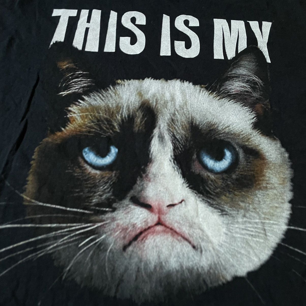 Vintage Y2K Grumpy Cat Graphic Tee Vintage Funny Streetwear Slim L Size US L / EU 52-54 / 3 - 6 Thumbnail