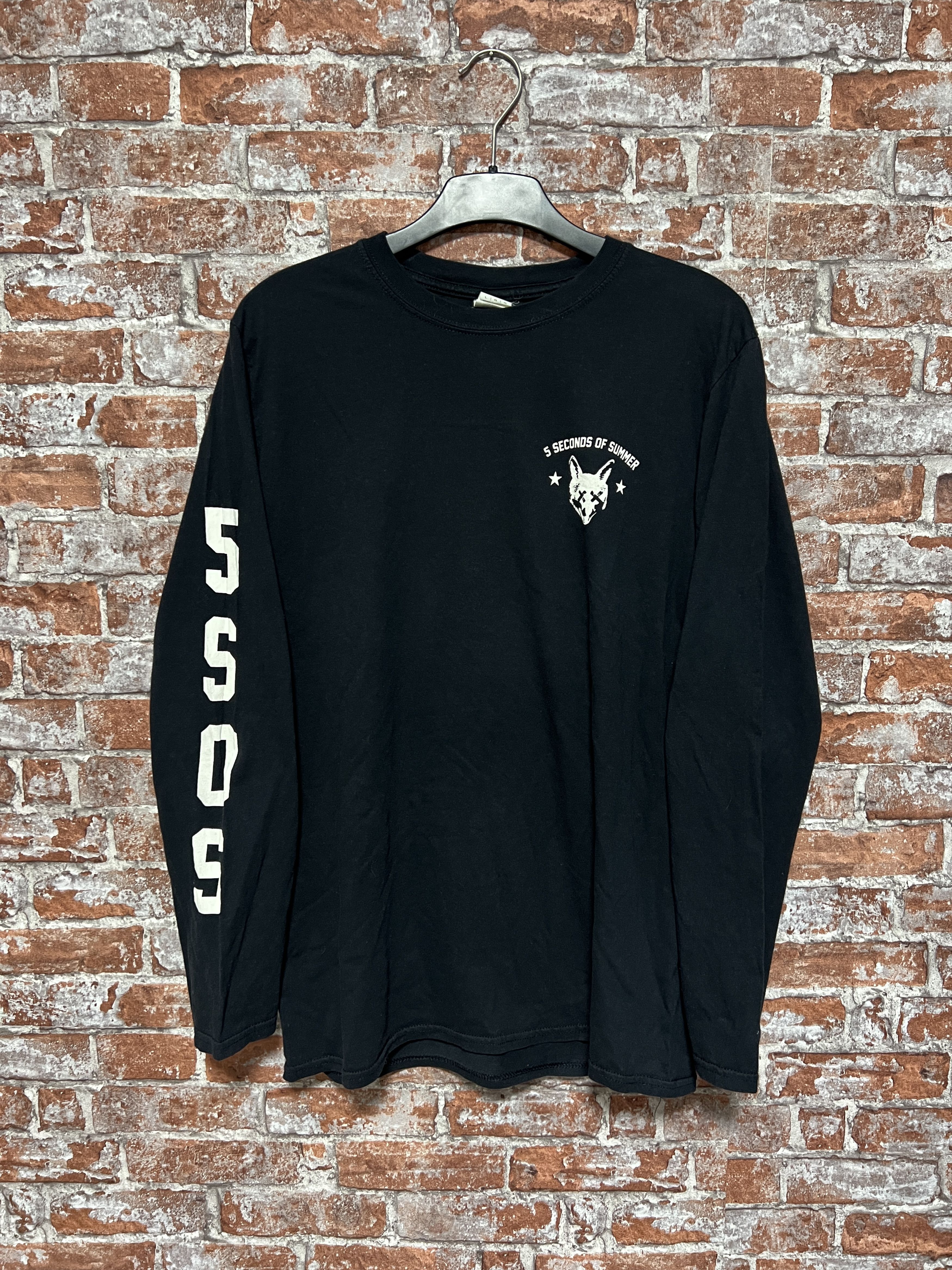 Band Tees Vintage 2000s 5 Seconds of Summer band long sleeve shirt Size US M / EU 48-50 / 2 - 1 Thumbnail