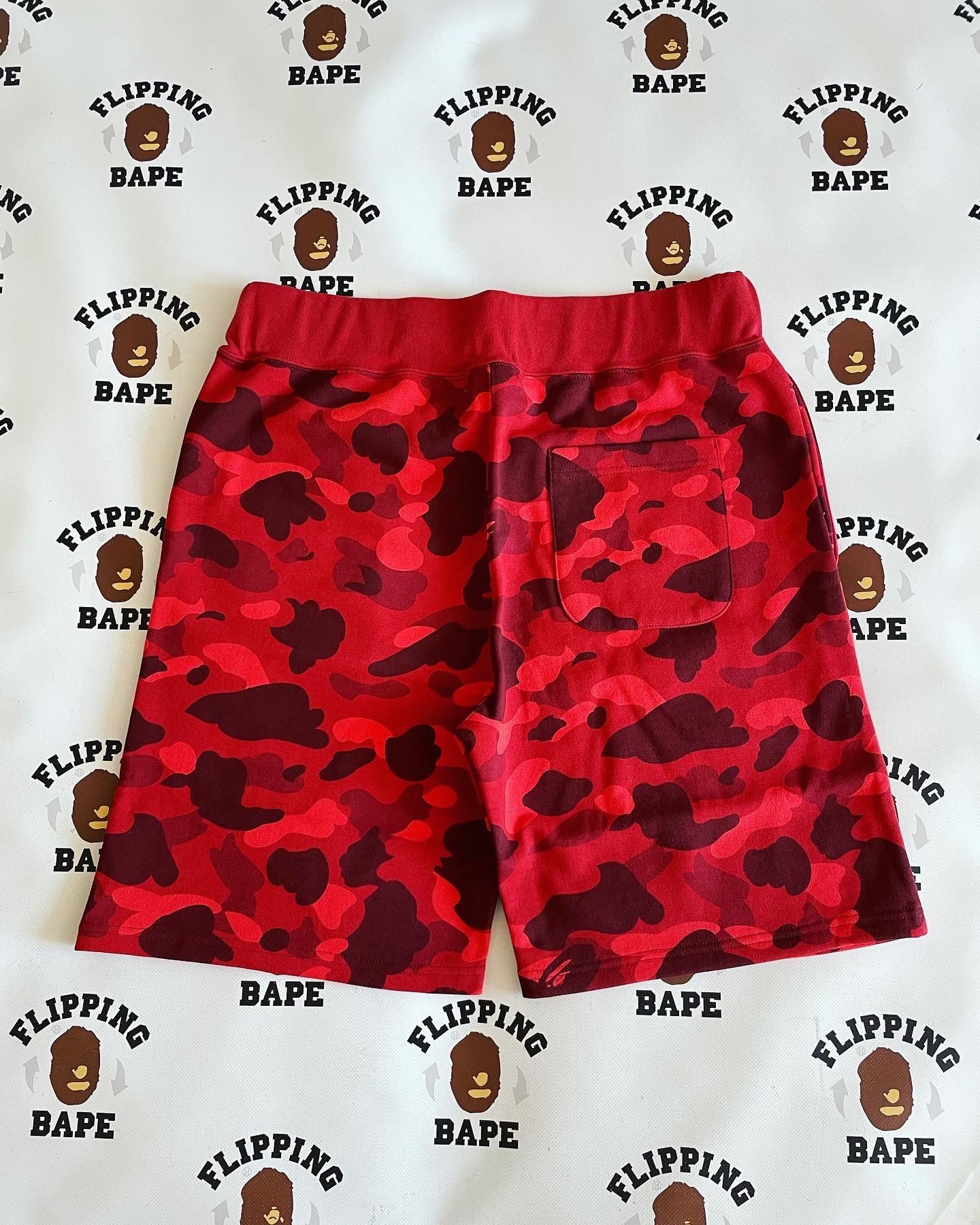 COLOR CAMO SWEAT empathic SHORTS