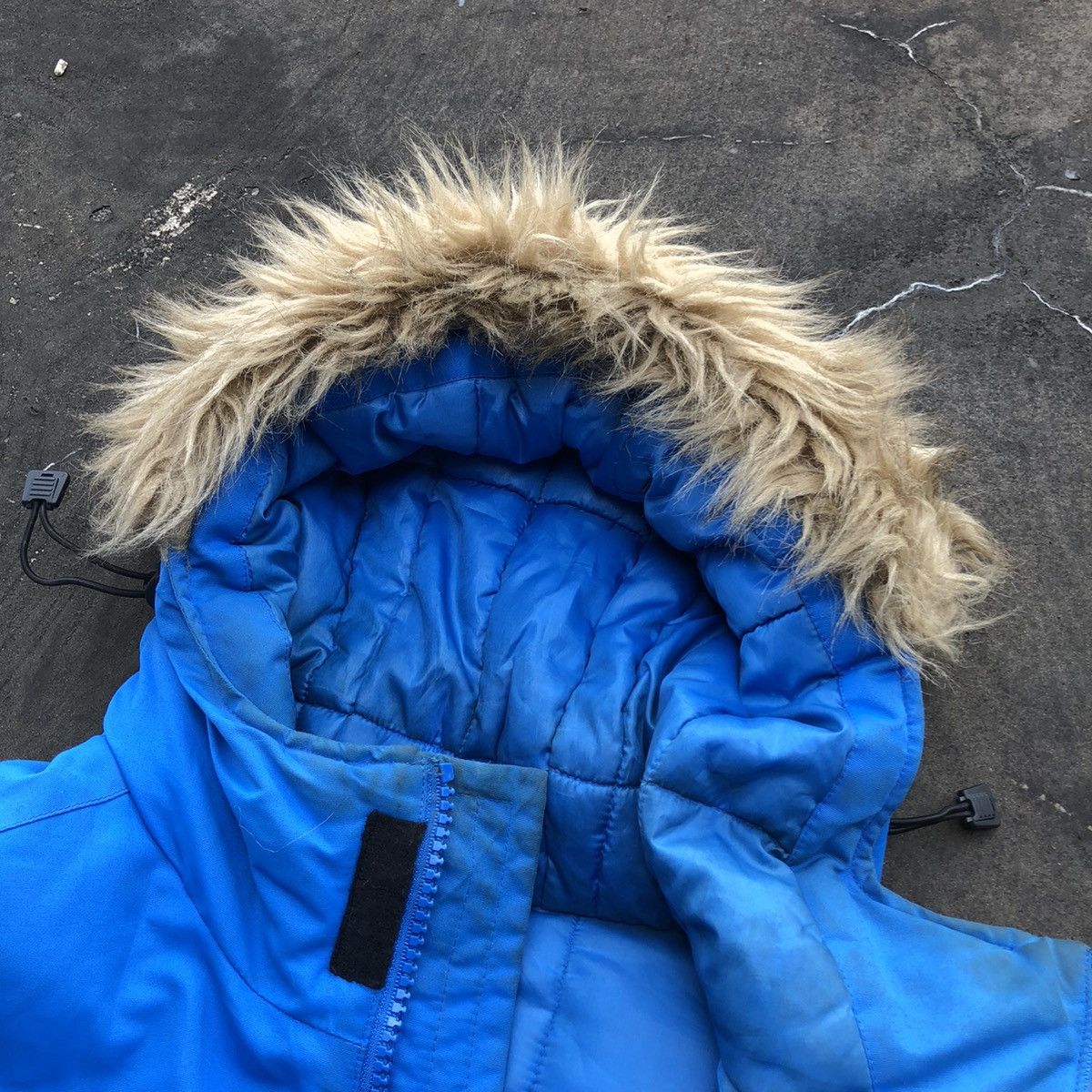 undefeated seahawk jacket