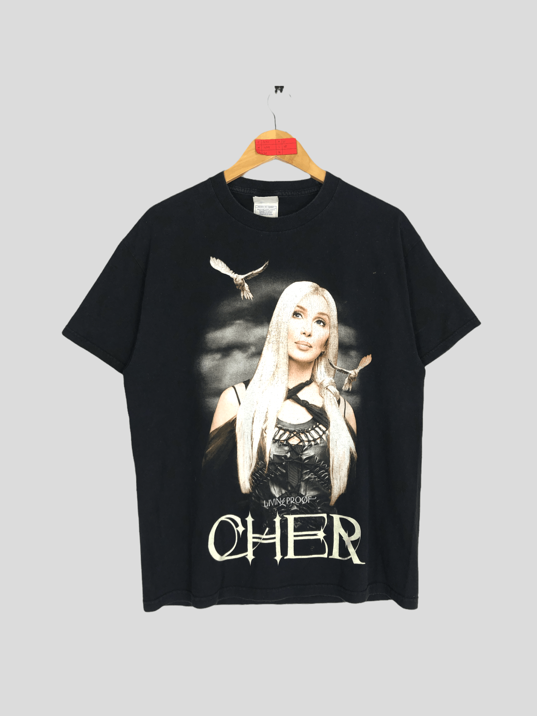 Y2K Cher American Singer Tour Tee