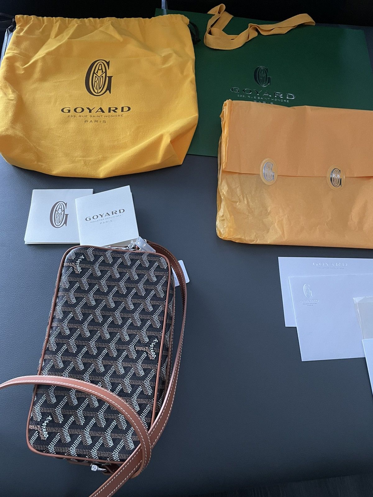 Goyard Brand NEW Iconic Classic Cap Vert Camera Bag Size ONE SIZE - 25 Thumbnail