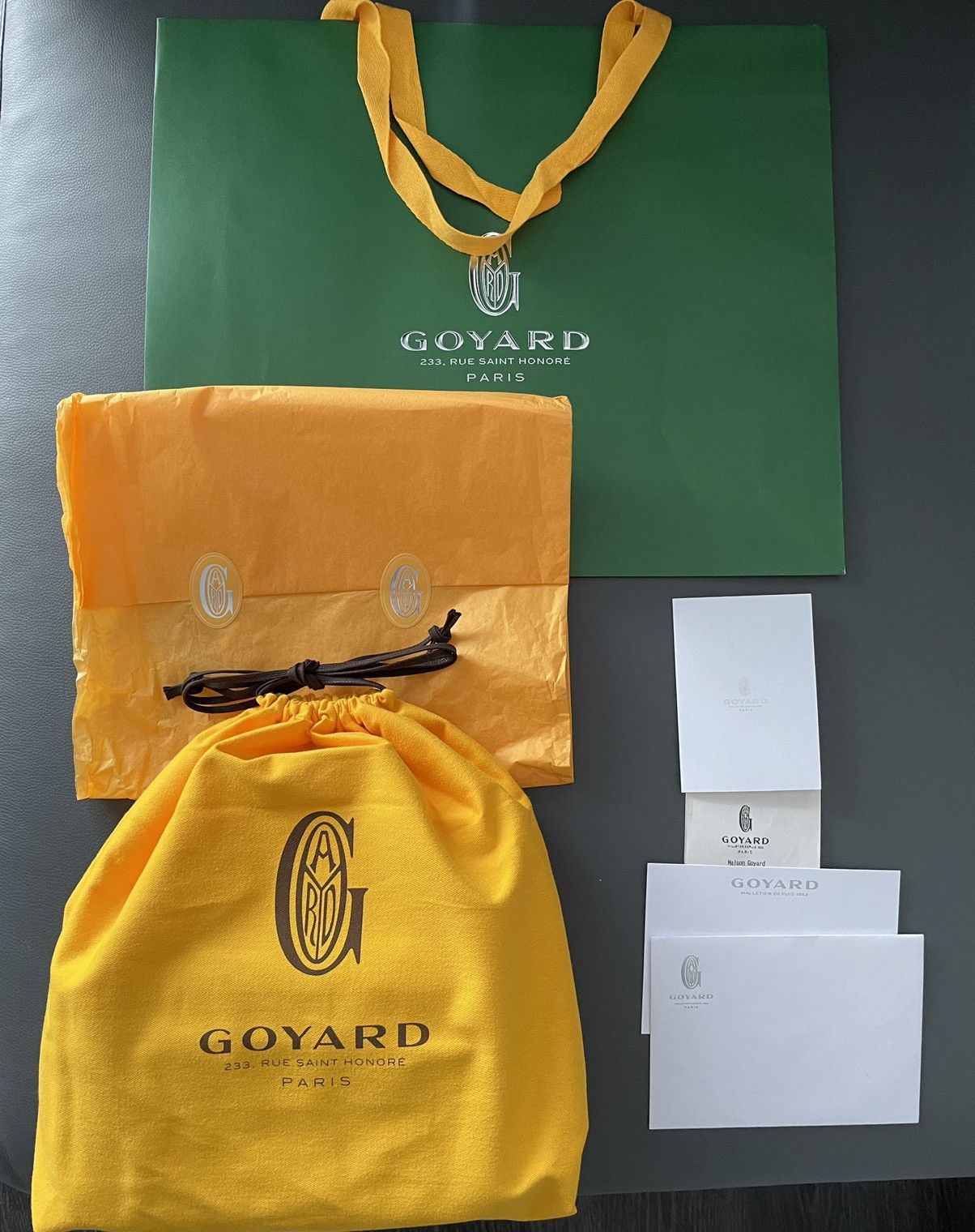 Goyard Brand NEW Iconic Classic Cap Vert Camera Bag Size ONE SIZE - 2 Thumbnail