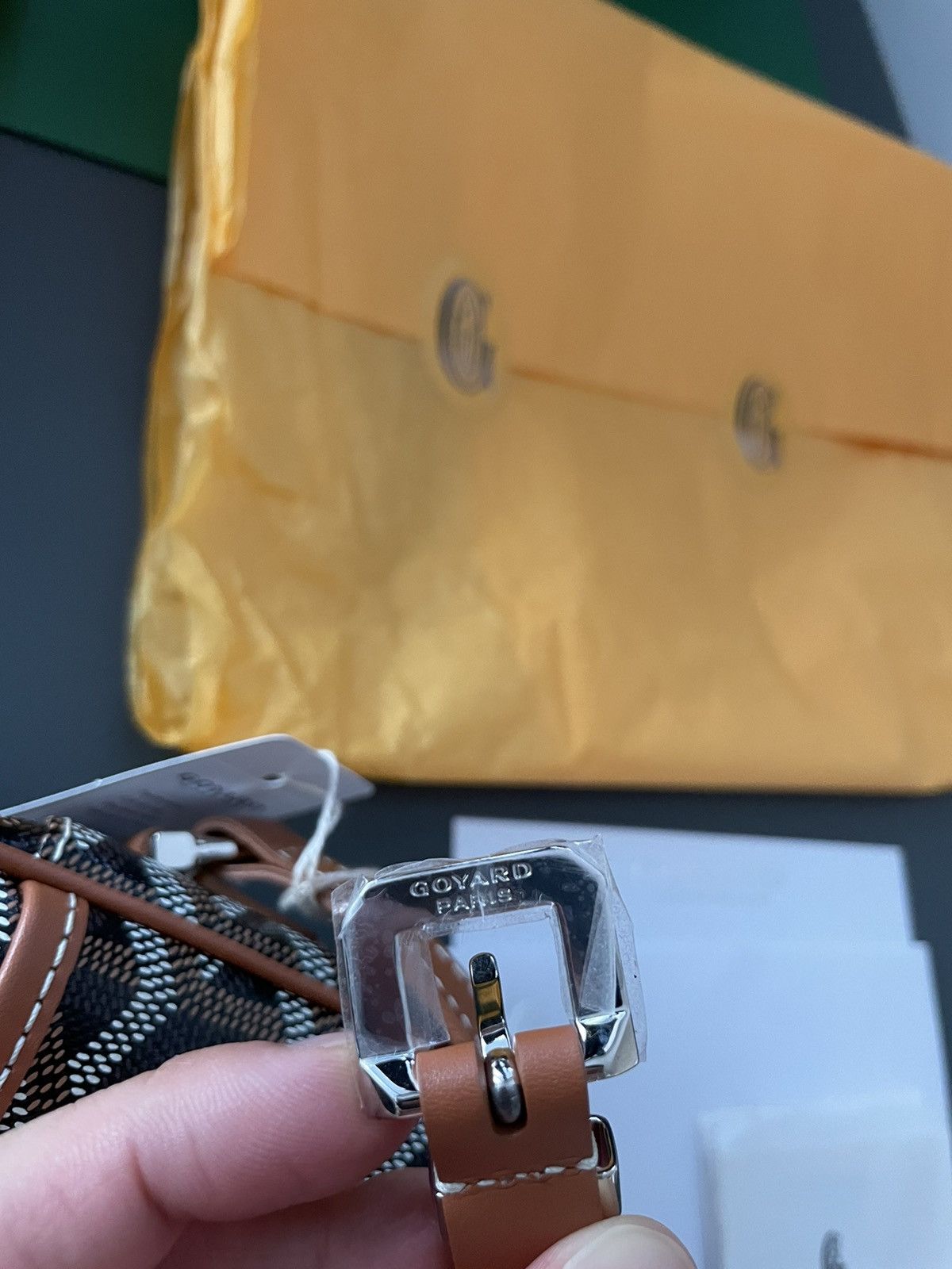 Goyard Brand NEW Iconic Classic Cap Vert Camera Bag Size ONE SIZE - 21 Thumbnail