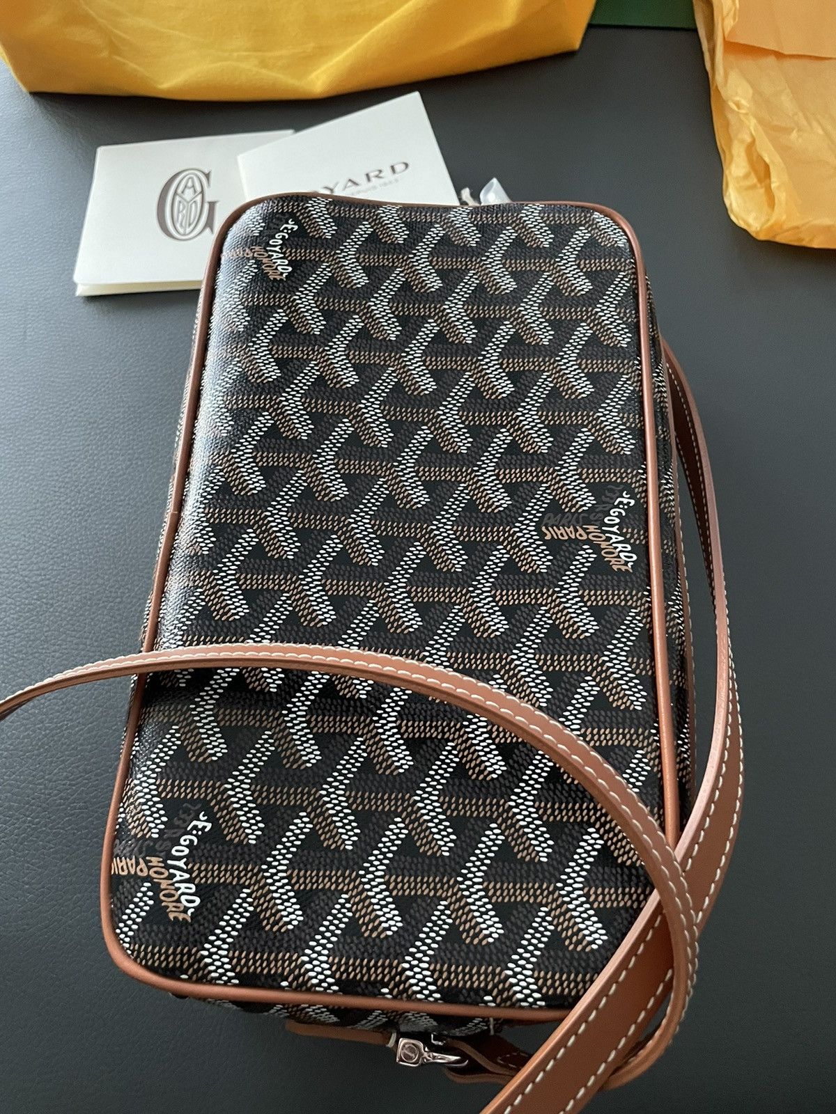 Goyard Brand NEW Iconic Classic Cap Vert Camera Bag Size ONE SIZE - 13 Thumbnail