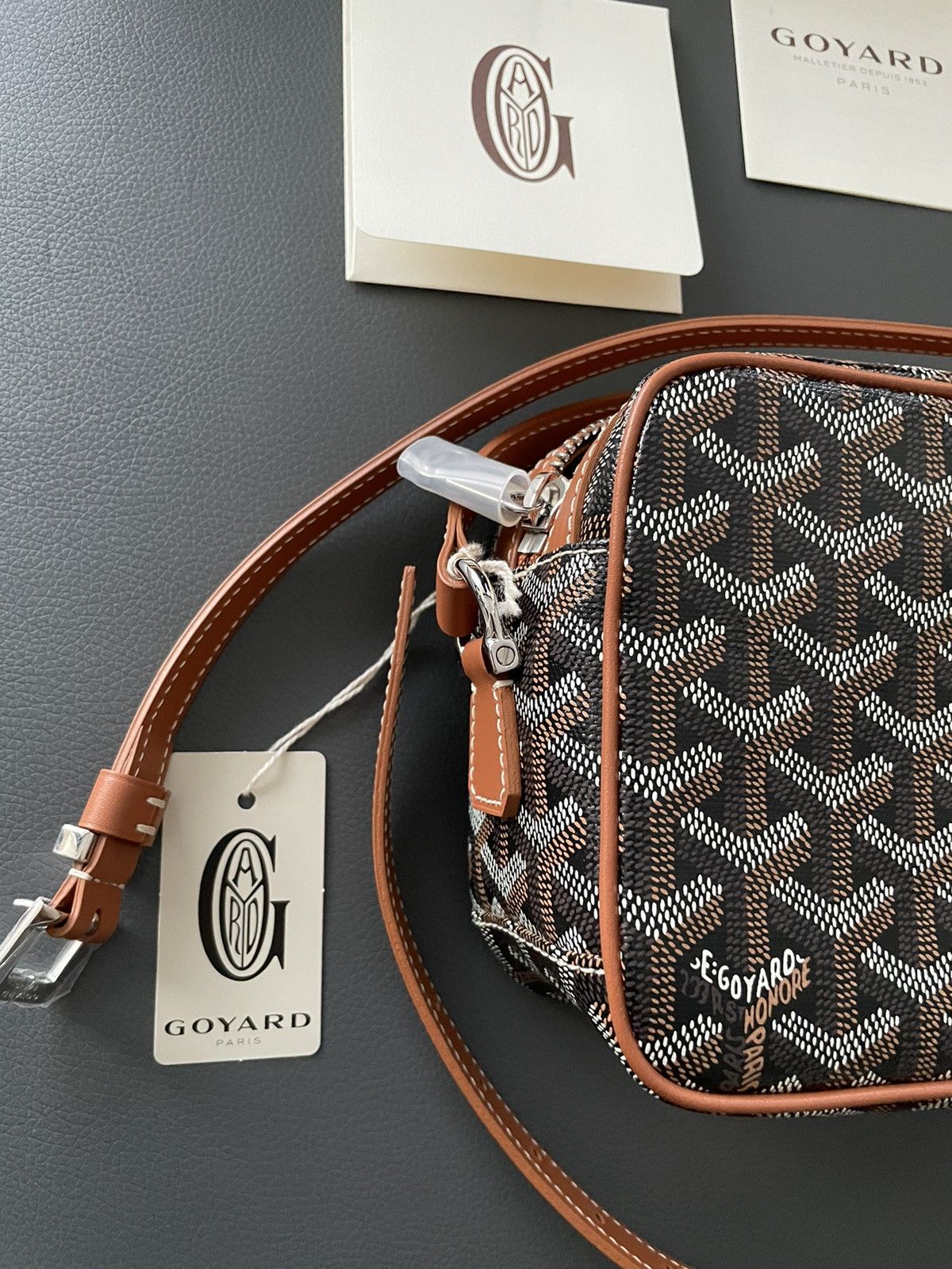 Goyard Brand NEW Iconic Classic Cap Vert Camera Bag Size ONE SIZE - 9 Thumbnail