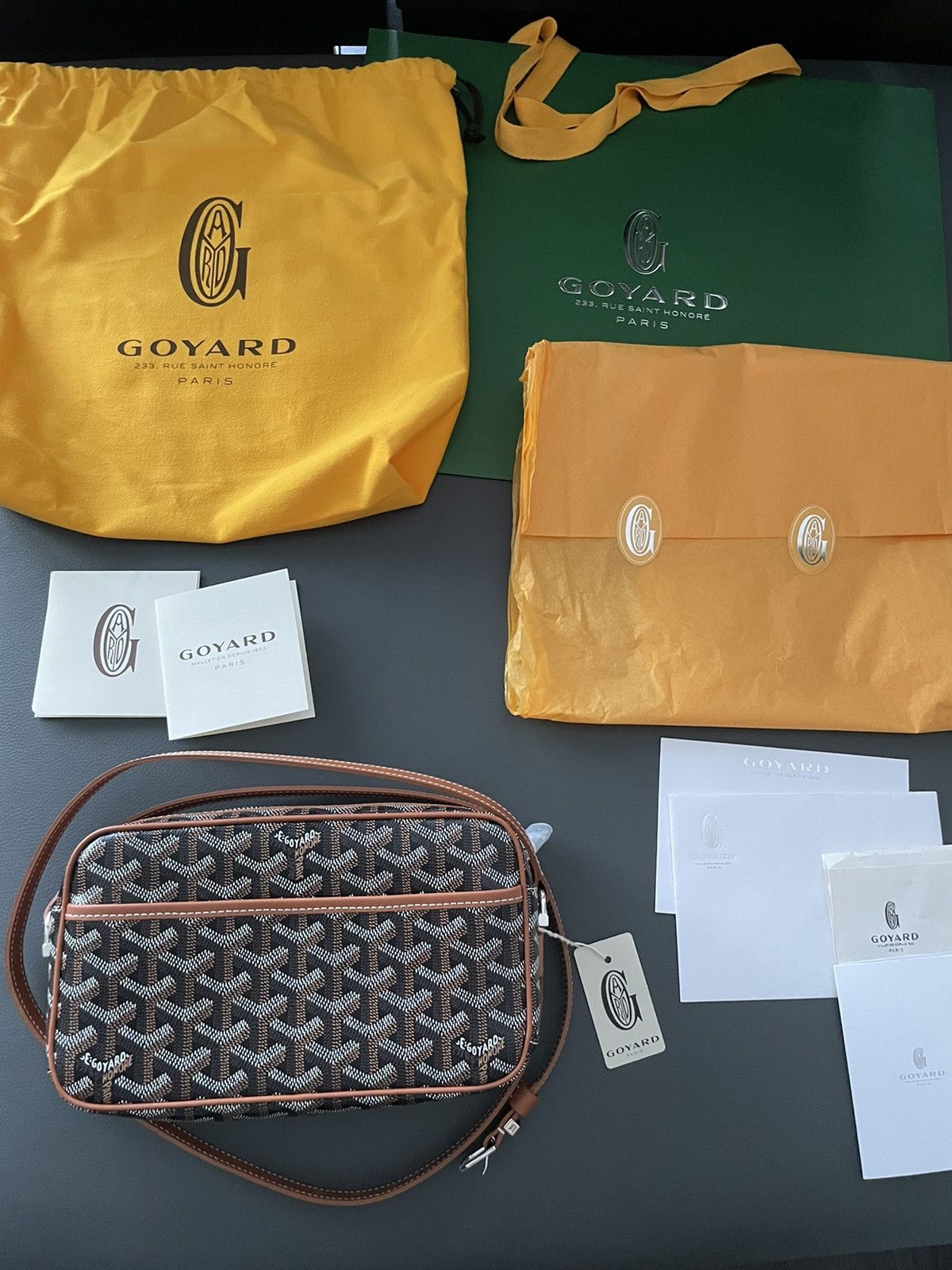 Goyard Brand NEW Iconic Classic Cap Vert Camera Bag Size ONE SIZE - 6 Thumbnail