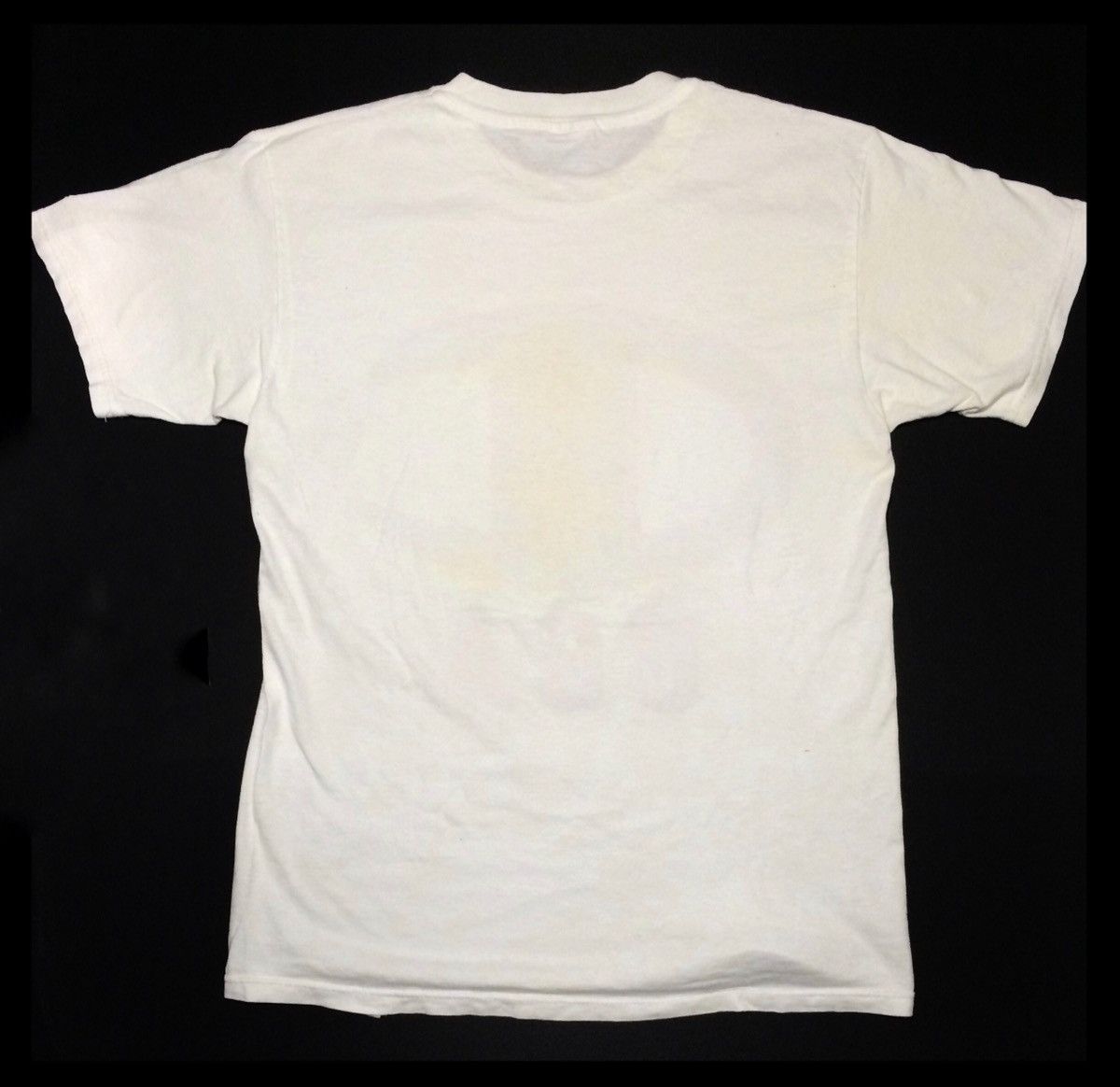 Champion × Vintage Vintage 90’s Big Logo Champion USA Tee Size US M / EU 48-50 / 2 - 6 Thumbnail