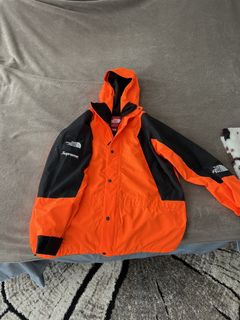 Supreme/The North Face Mountain Light Jacket - Leaves – Grails SF