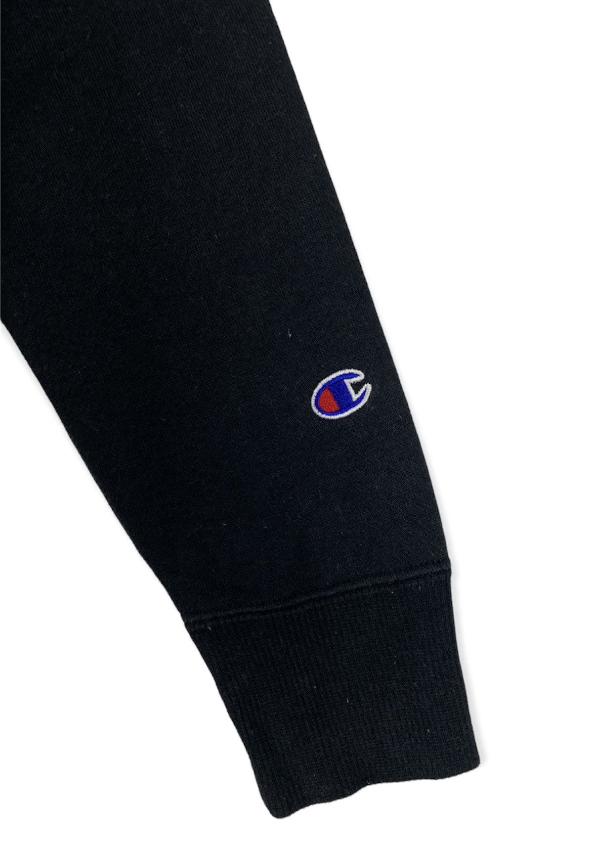 Champion Champion Hoodie Small Logo Size US L / EU 52-54 / 3 - 3 Thumbnail