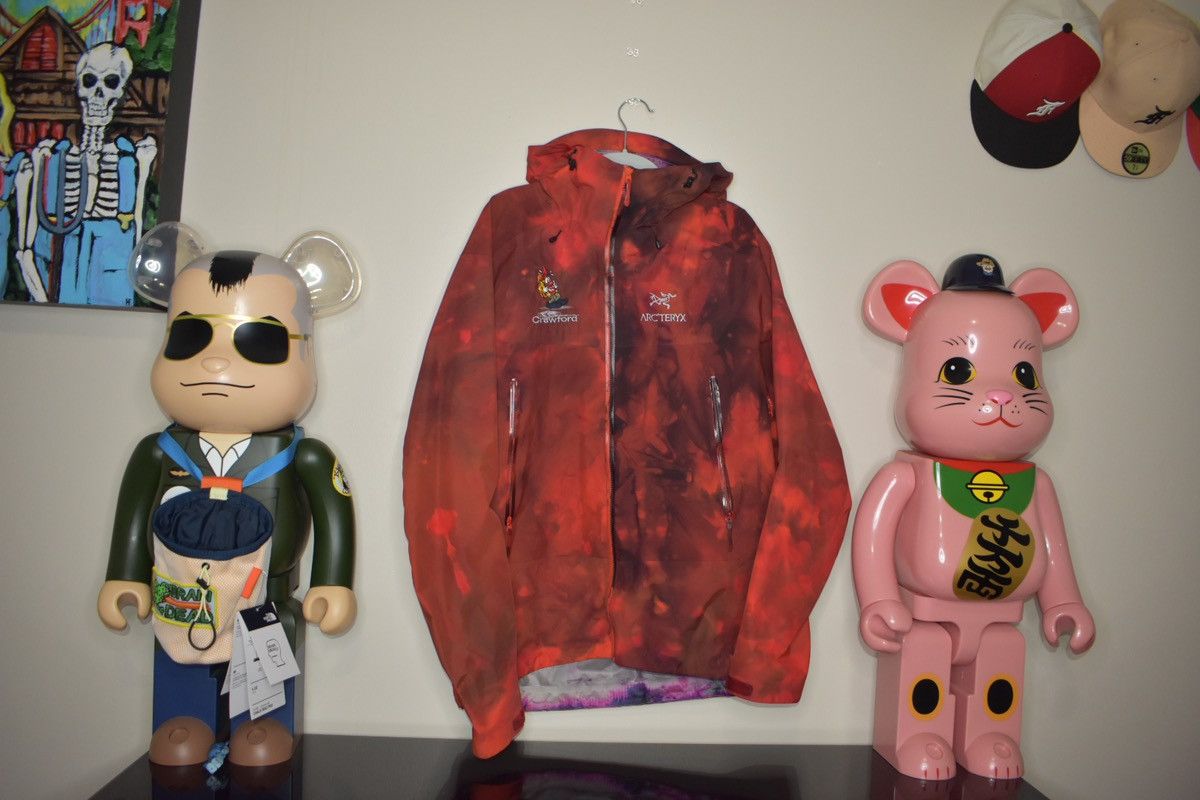 Arc'teryx Arcteryx x Shaun Crawford Artist Series Beta SL Jacket Size US M / EU 48-50 / 2 - 1 Thumbnail