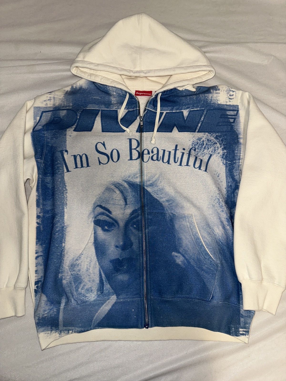 Supreme Supreme Zip Up Hoodie “Divine” | Grailed