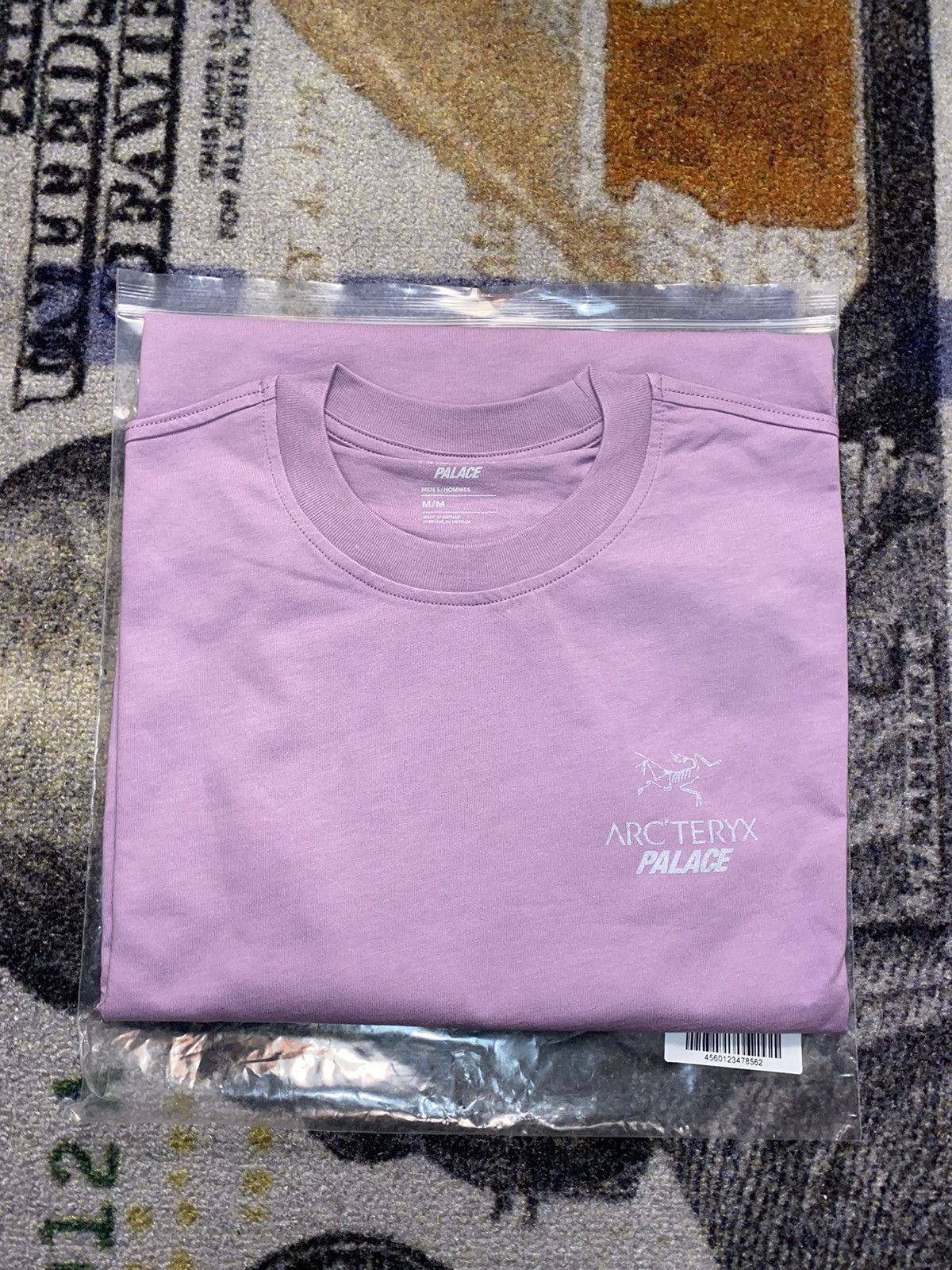 Arc'teryx × Palace Palace Arc'Teryx T-Shirt Haze Size US M / EU 48-50 / 2 - 1 Thumbnail