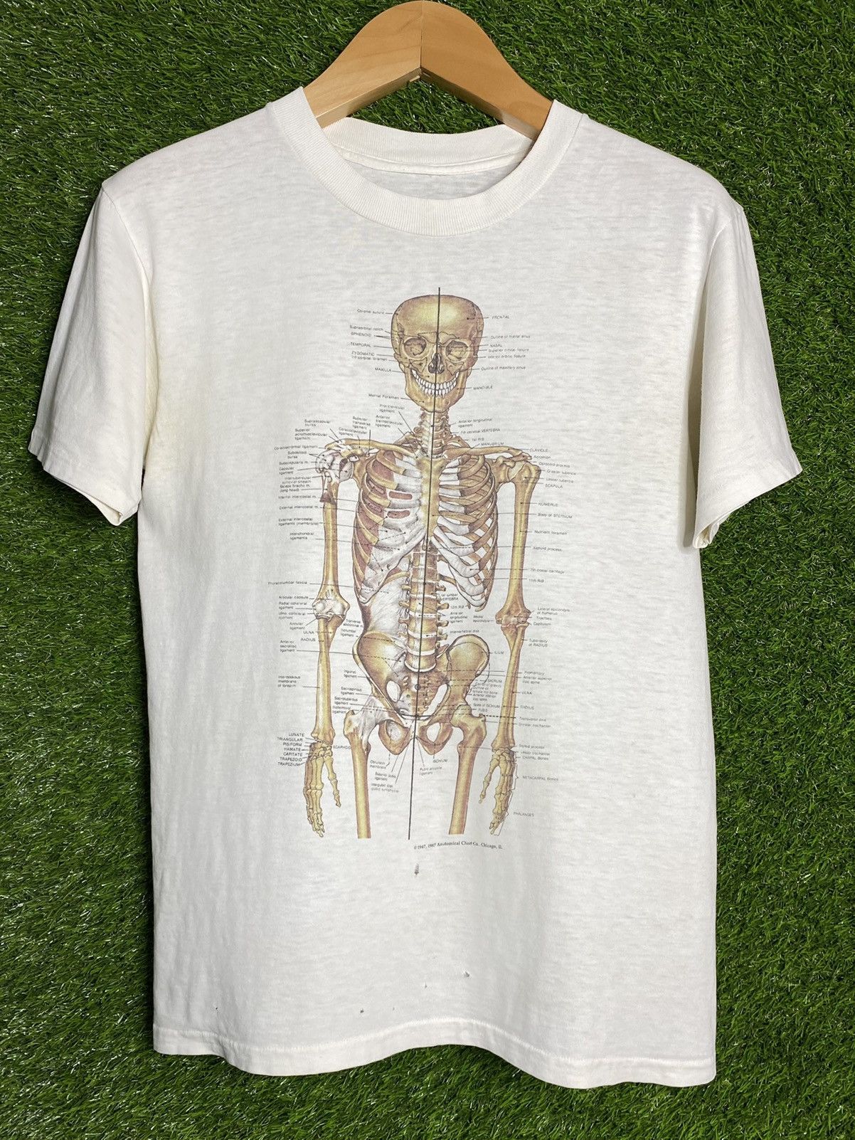 🚨Vintage Anatomy Skeletal System 1987 Science T-Shirt