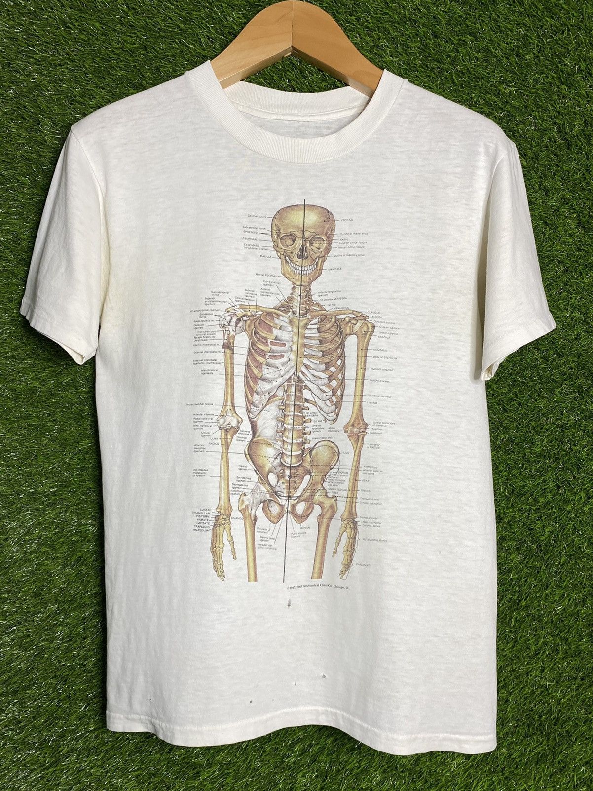 Vintage kurt cobain anatomical anatomy t shirt rare | Grailed