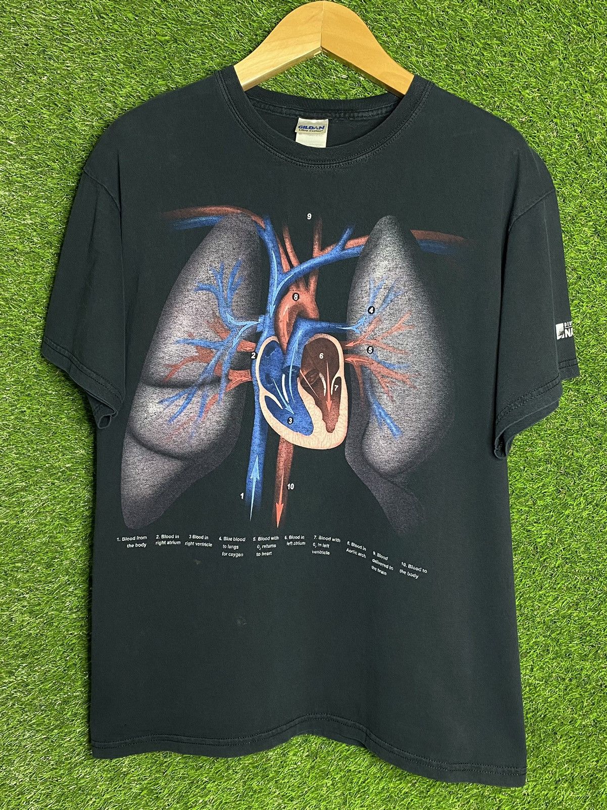 Vintage 🚨Vintage Denver Museum Of Nature & Science Anatomy T-Shirt Size US L / EU 52-54 / 3 - 1 Thumbnail